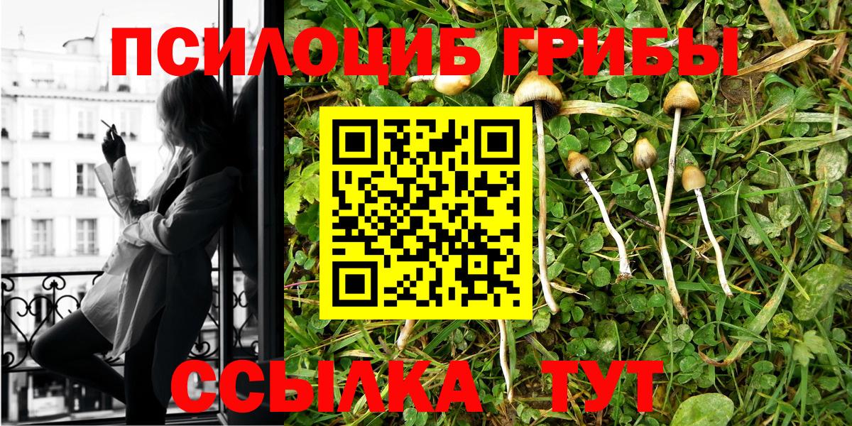Галлюциногенные грибы Psilocybine cubensis  Вход с VPN  Благодарный  Псилоцибиновые грибы прущие грибы 